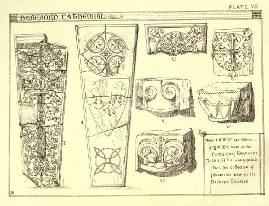 Plate VII