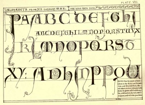 Plate VIII