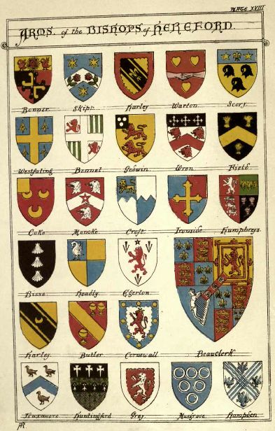 Plate XVIII